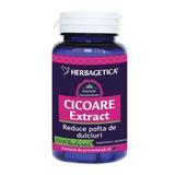 Cicoare extract Herbagetica, 30 capsule