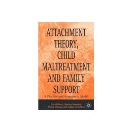 Attachment Theory, Child Maltreatment and Family Support, editura Palgrave Macmillan Higher Ed