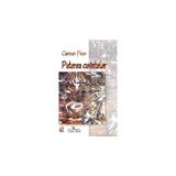 Puterea cuvintelor - Carmen Firan, editura Scrisul Romanesc