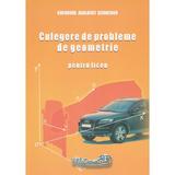 Culegere de probleme de geometrie pentru liceu - Gheorghe Adalbert Schneider, editura Hyperion