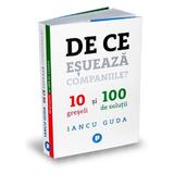 De ce esueaza companiile? - Iancu Guda, editura Publica