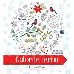 Culorile iernii, editura Didactica Publishing House