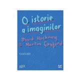 O istorie a imaginilor - David Hockmey, Martin Gayford, editura Pandora