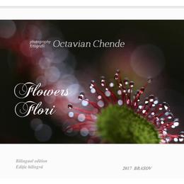 Flowers. flori- octavian chende, editura vox-lumen