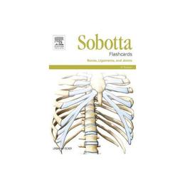Sobotta Flashcards Bones, Ligaments, and Joints, editura Sony Pictures Home Entertainme