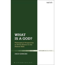 What is a God?, editura Bloomsbury Academic T&amp;t Clark