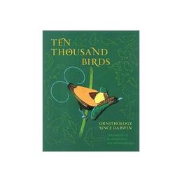 Ten Thousand Birds, editura Harper Collins Childrens Books