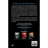 tratament-letal-james-dashner-editura-litera-2.jpg