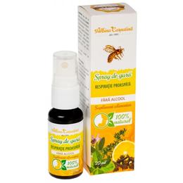 Spray de gura respiratie proaspata albina carpatina, apicola pastoral georgescu, 20ml