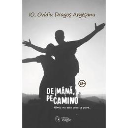 De mana, pe Camino - Ovidiu Dragos Argesanu, editura Eagle