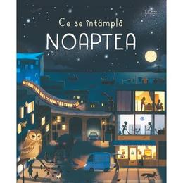 Ce se intampla noaptea, editura Univers Enciclopedic