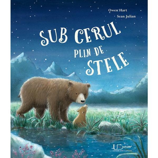 Sub cerul plin de stele - owen hart, sean julian, editura univers enciclopedic