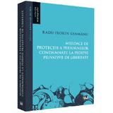 Mijloace de protectie a persoanelor condamnate la pedespse privative de libertate - Radu Florin Geamanu, editura Universul Juridic