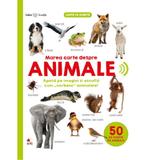 Bebe invata. marea carte despre animale. 50 de sunete de animale