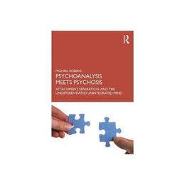 Psychoanalysis Meets Psychosis, editura Taylor & Francis