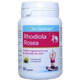 Rhodiola Rosea Bio-Synergie, 60 capsule