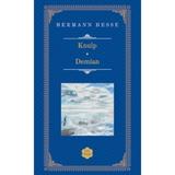 Knulp. Demian (Rao Clasic) - Hermann Hesse, editura Rao