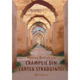 Crampeie din cartea straduintei - Monica Bratulescu, editura Paideia