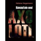 Ramasitele unui Axolotl - Helene Hegemann, editura Litera