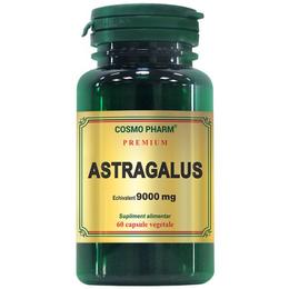 Astragalus cosmo pharm premium, 60 capsule
