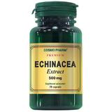 Echinacea Extract 500mg Cosmo Pharm Premium, 30 capsule