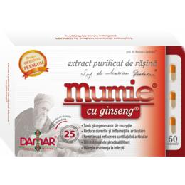 Extract purificat de rasina mumie cu ginseng damar general, 60 capsule