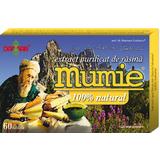 Extract Purificat de Rasina Mumie Damar General, 60 tablete