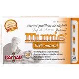 Extract Purificat de Rasina Mumie Damar General, 30 capsule