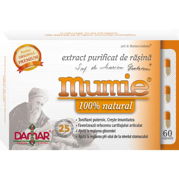 Extract Purificat de Rasina Mumie Damar General, 60 capsule