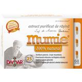 Extract Purificat de Rasina Mumie Damar General, 60 capsule