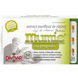 Extract Purificat de Rasina Mumie cu Propolis Damar General, 30 capsule