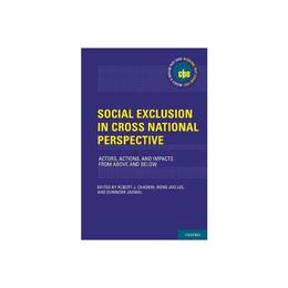 Social Exclusion in Cross-National Perspective - Robert J Chaskin, editura Sphere Books