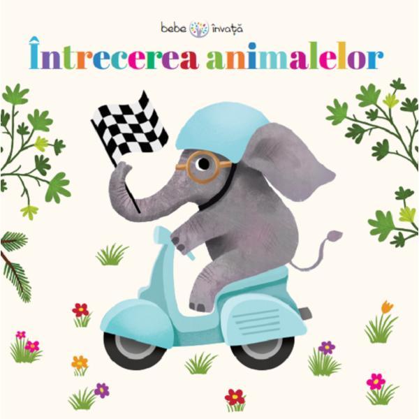 Intrecerea animalelor. puzzle, editura litera