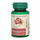 Harpagophytum Dacia Plant, 60 comprimate