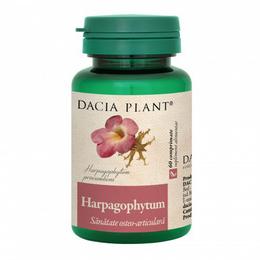 Harpagophytum dacia plant, 60 comprimate