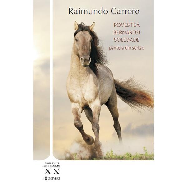 Povestea bernardei soledade - raimundo carrero, editura univers