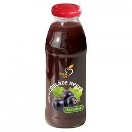 Nectar coacaz negru dacia plant, 300ml