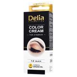 Vopsea pentru Sprancene cu Ulei de Argan Delia Cosmetics, nuanta 1.0 Negru, 15ml