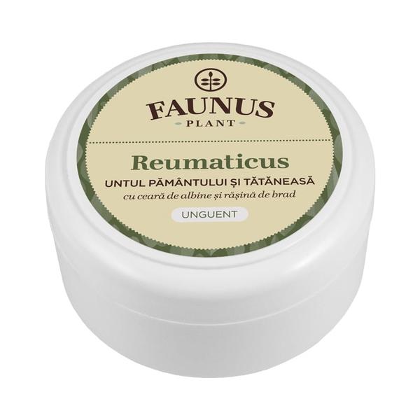 Unguent Reumaticus (Untul Pamantului si Tataneasa) Faunus Plant, 100 ml