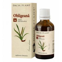 Tinctura obligeana dacia plant, 50ml