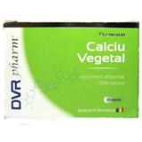 Calciu Vegetal DVR Pharm, 20 capsule
