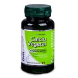 Calciu Vegetal DVR Pharm, 60 capsule