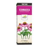 Tinctura de Echinaceea Dorel Plant, 200ml