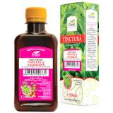 Tinctura de Paducel si Valeriana Dorel Plant, 200ml