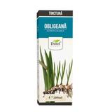 Tinctura de Obligeana Dorel Plant, 200ml