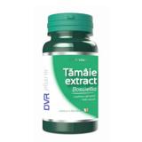 Tamaie Extract DVR Pharm, 60 capsule