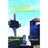 Puzzle... In toate sensurile vol.1 - Teo Banal, Van Teo Moldo, editura Ecou Transilvan