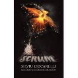 Scrum - Silviu Ciocanelli, editura Scoala Ardeleana