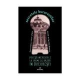 Secretele Bucurestilor vol.10: Povesti incredibile la vreme de razboi in Bucuresti  - Dan-Silviu Boerescu, editura Integral