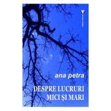 Despre lucruri mici si mari - Ana Petra, editura Vremea